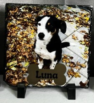 Capture your memories on slate 5.5 X 5.5