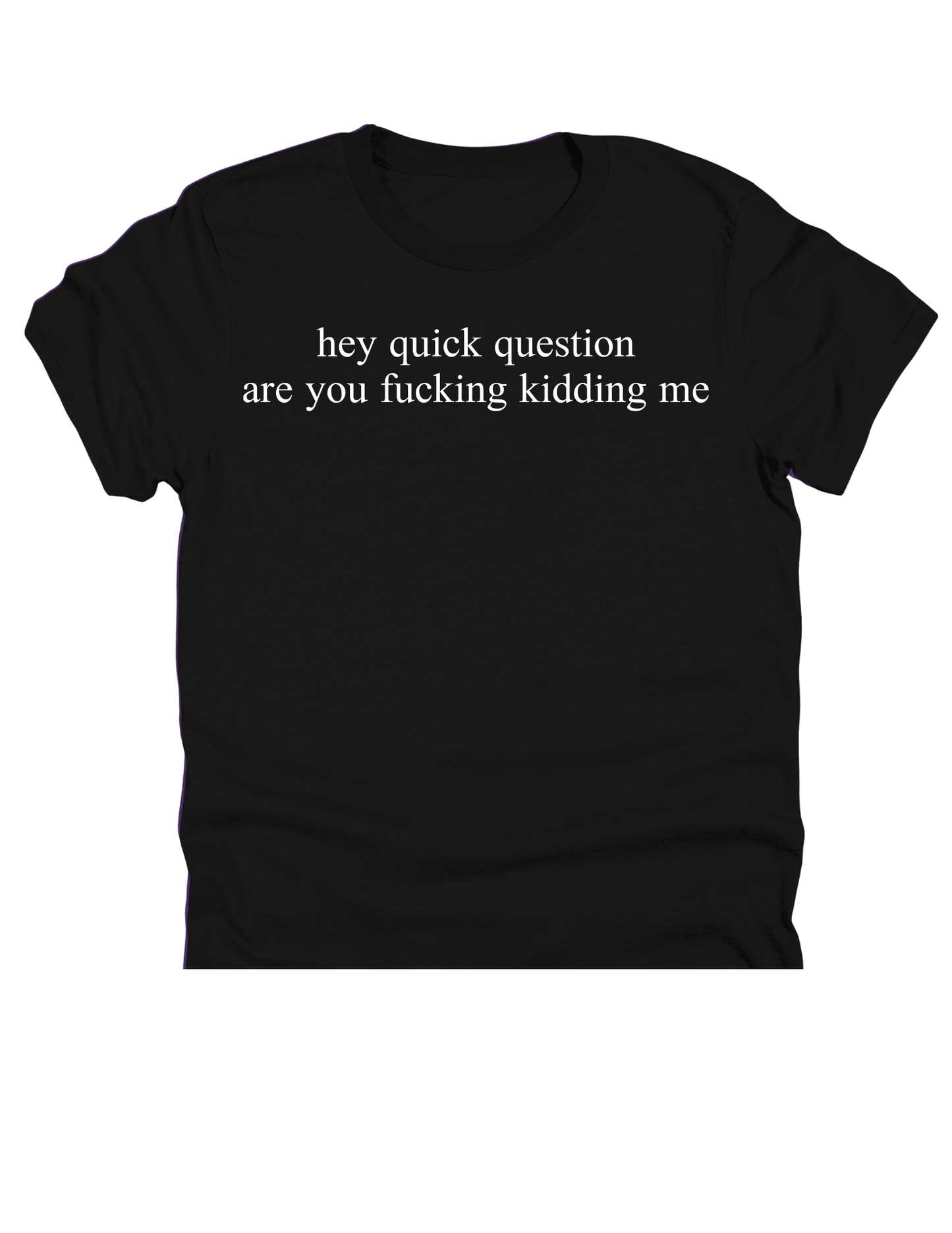 11" DTF Ready to Press - Hey Quick Question Are You Kidding Me | 0392
