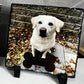 Capture your memories on slate 5.5 X 5.5