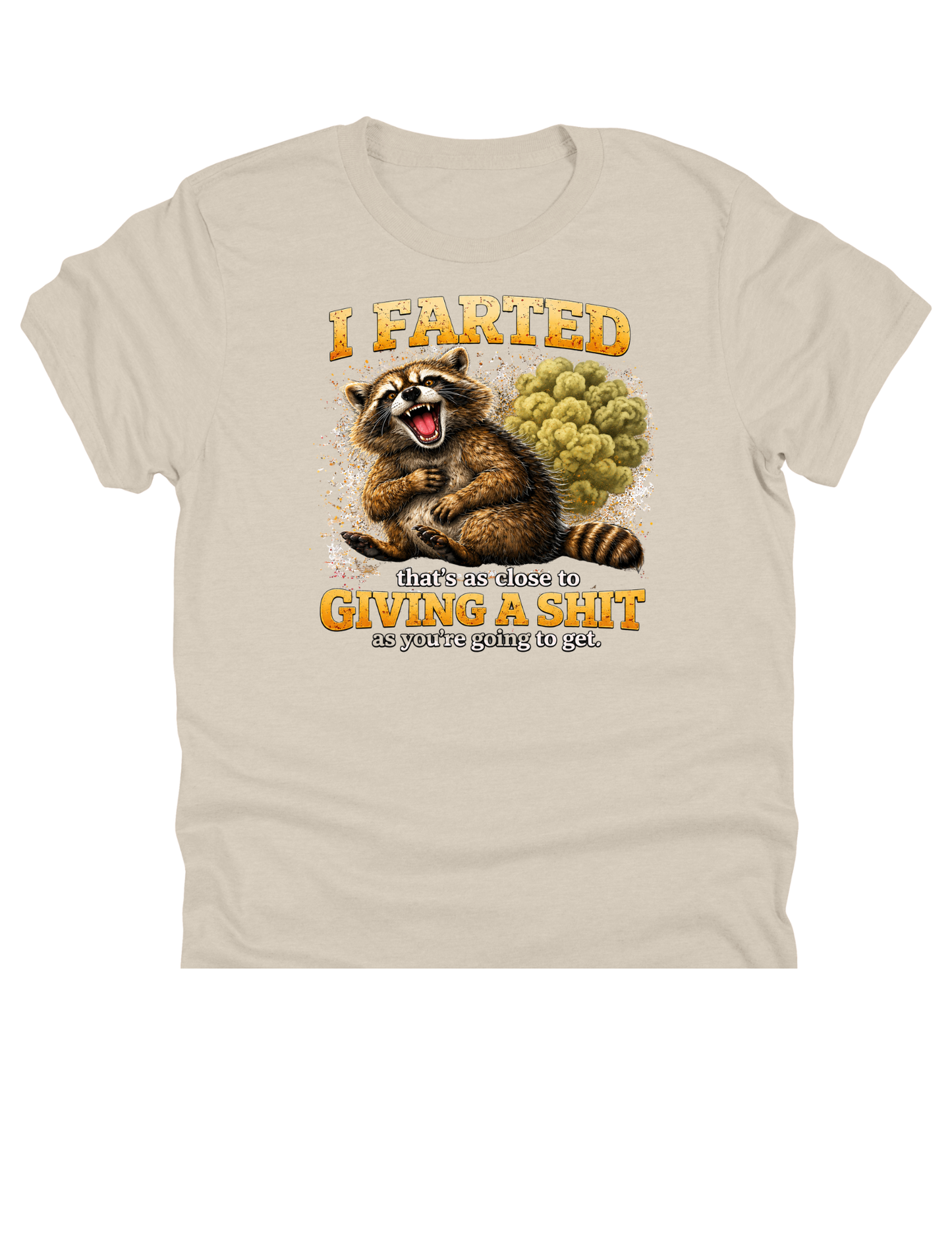 11" DTF Ready to Press - I Farted Funny Raccoon | 0248