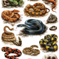 Snake Collection | UVDTF 9.5 x14 Element Sheets